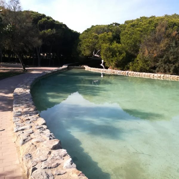 Parc du moulin à eau