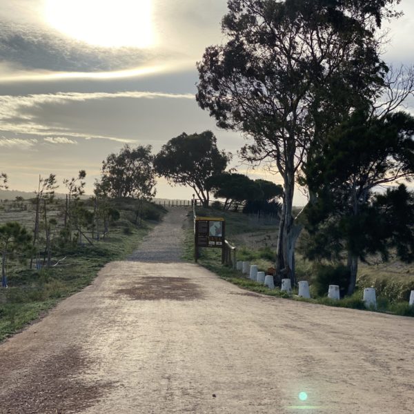 Parc naturel de las lagunas de La Mata y Torrevieja