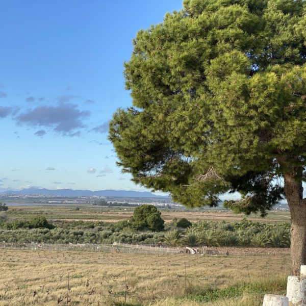 Parc naturel de las lagunas de La Mata y Torrevieja