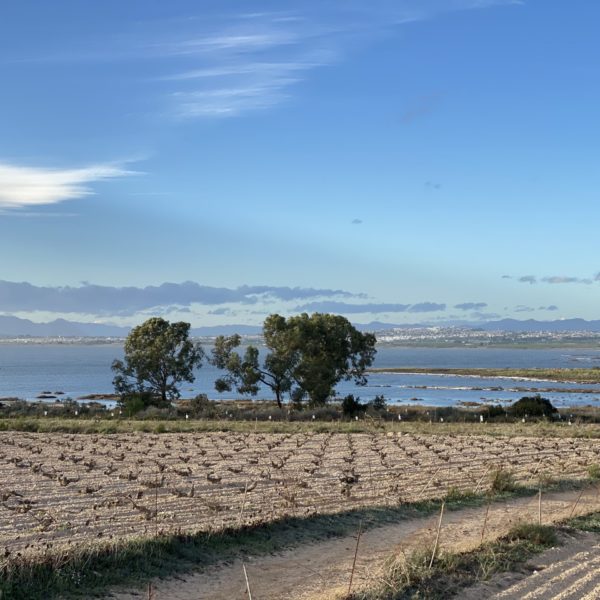 Parc naturel de las lagunas de La Mata y Torrevieja