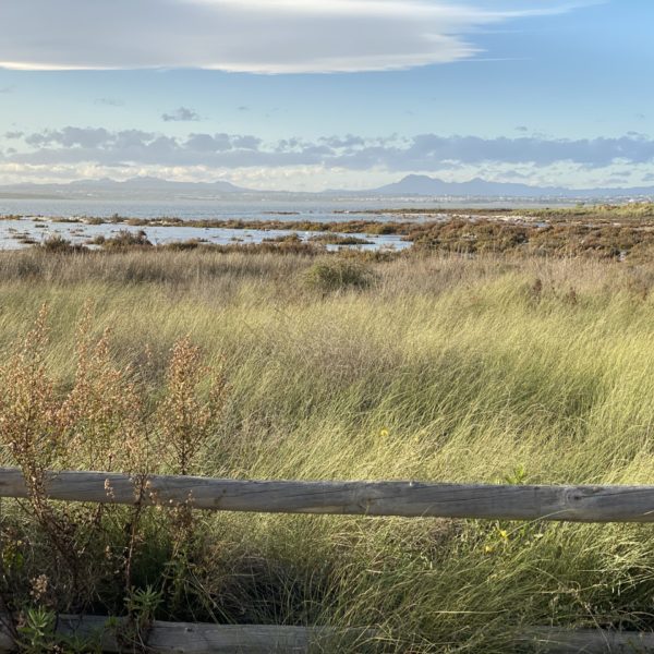 Parc naturel de las lagunas de La Mata y Torrevieja