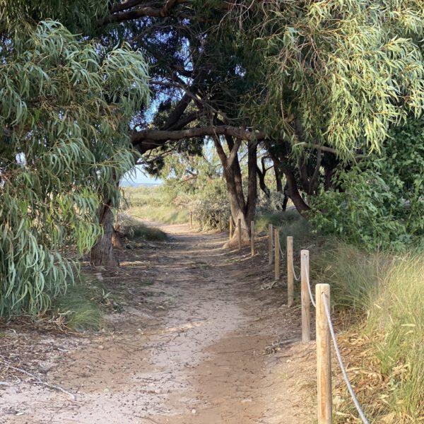 Parc naturel de las lagunas de La Mata y Torrevieja