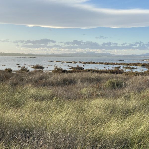 Parc naturel de las lagunas de La Mata y Torrevieja