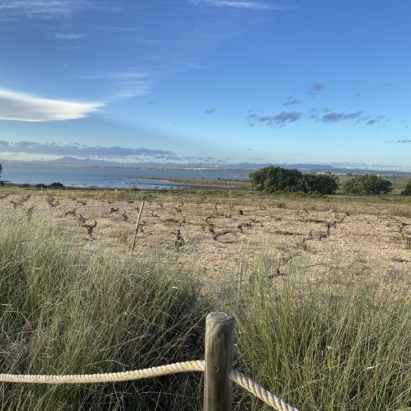 Parc naturel de las lagunas de La Mata y Torrevieja