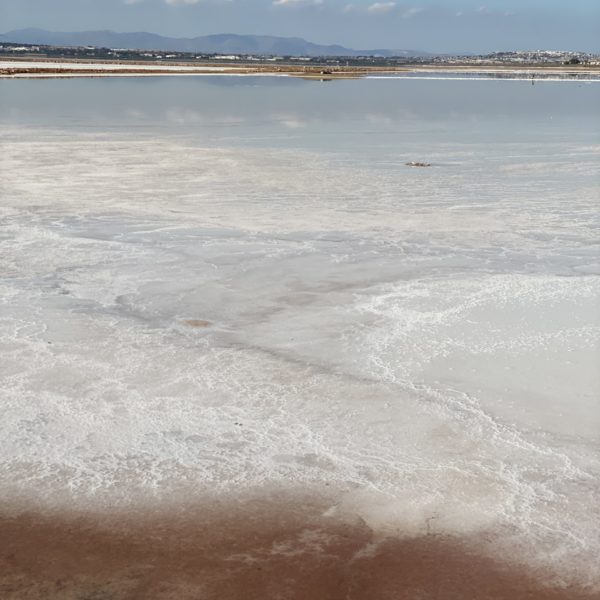 Les salines de Torrevieja