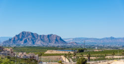 Villas à vendre sur le golf La Finca