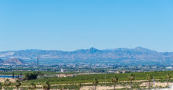 Villas à vendre sur le golf La Finca